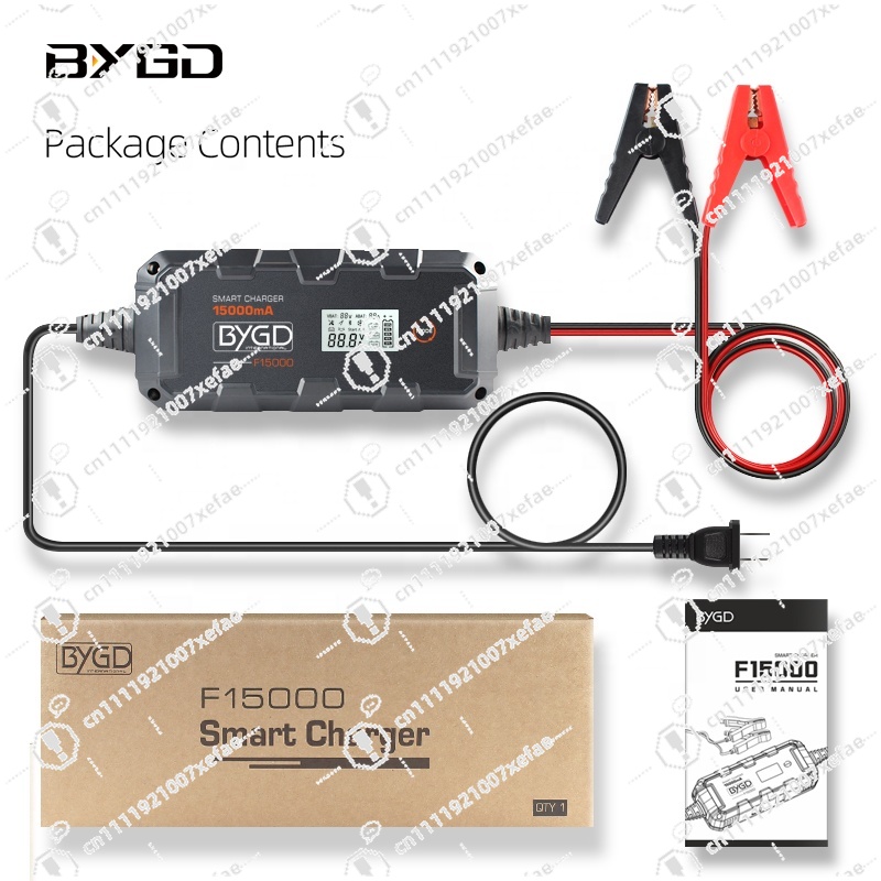 15000mA 12V グレード 8 リチウム電池カーバッテ - Lithium Battery 12V のレビューと価格